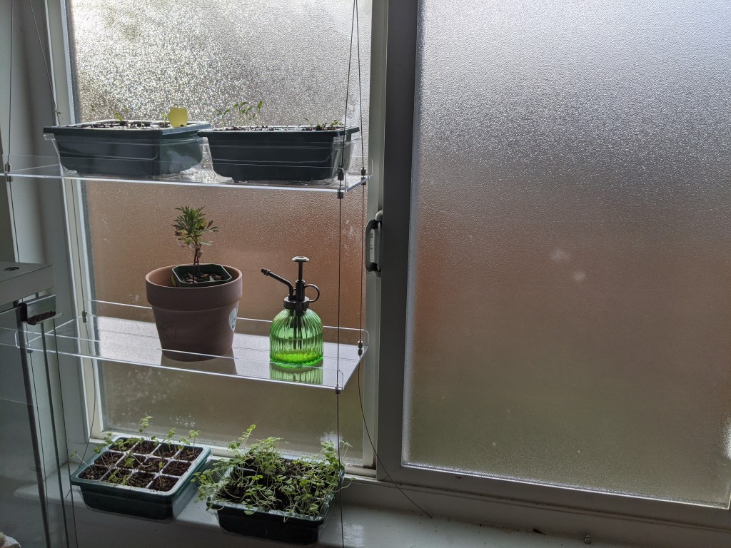 Shelves made from clear acrylic hanging from wires in front of a window with seed starting trays and a plant mister placed on the shelves