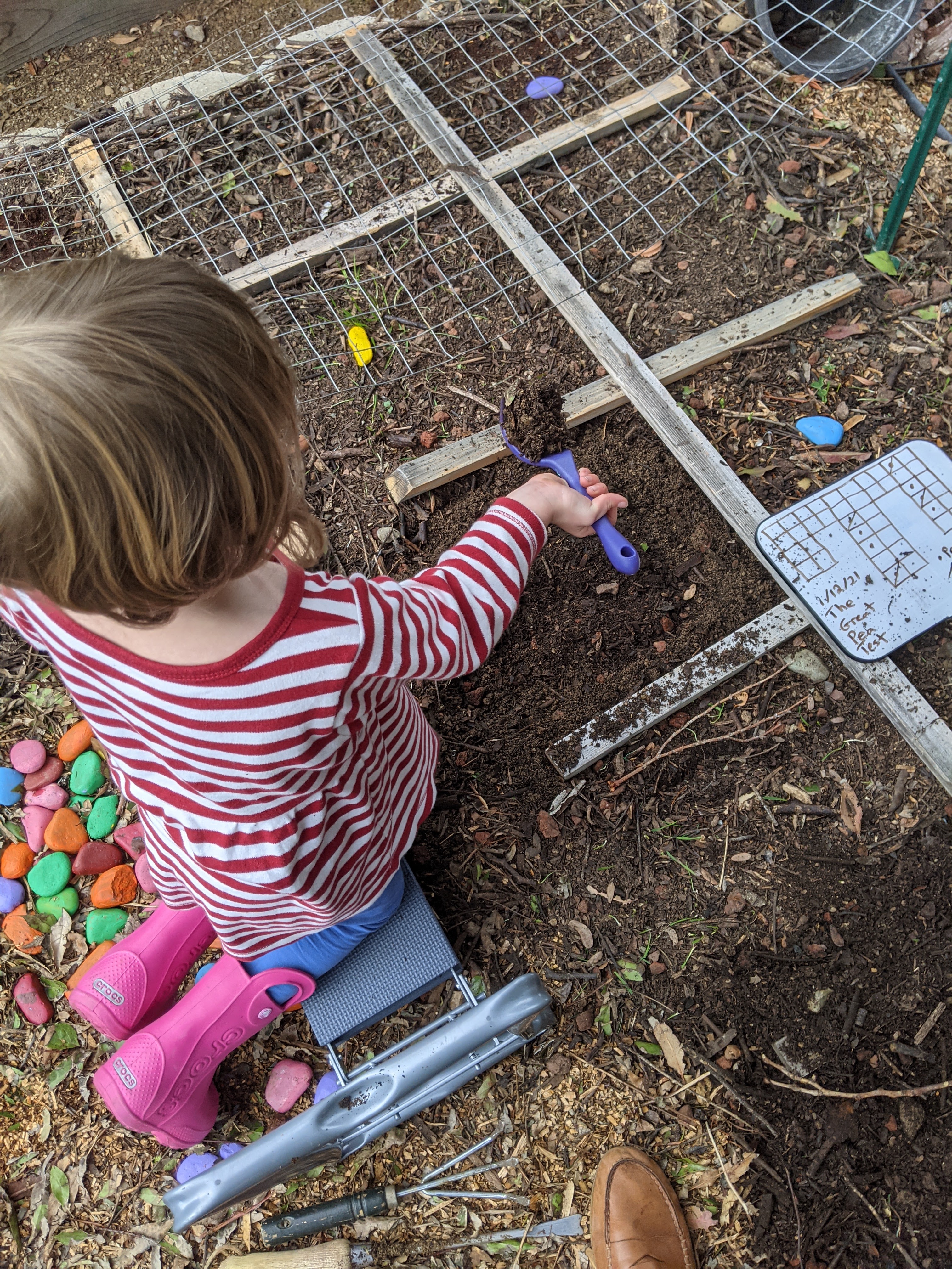 A toddler helping to mix soil and compost in the square foot garden.